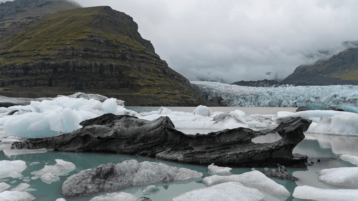 Antártica verde: Mudanças climáticas aceleram vegetação