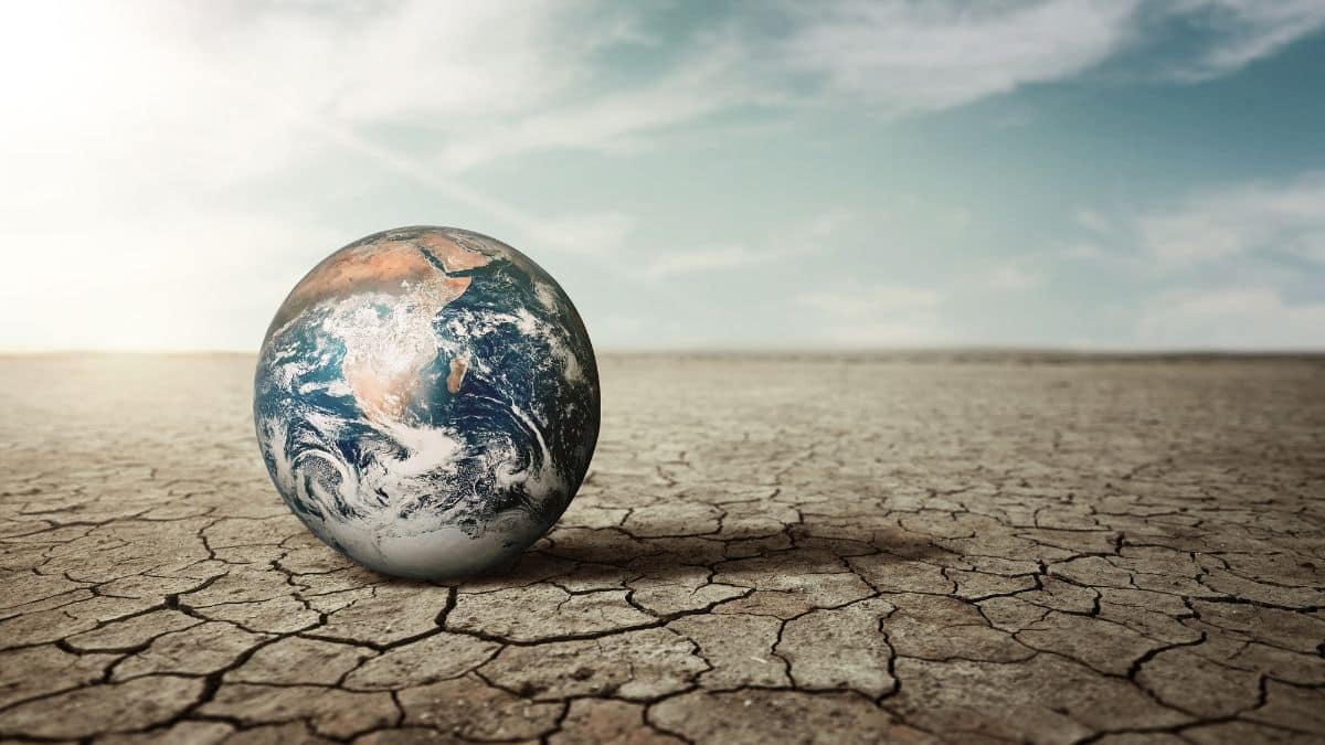 Mudanças climáticas devem elevar preços de alimentos e energia