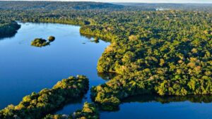 Imagem da Amazônia para ilustrar uma matéria jornalística sobre a Mina de Pitinga, no Amazonas.
