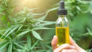 Imagem ilustrativa de frasco com composição medicinal com cannabidio, produzido através do cultivo da cannabis medicinal.