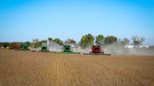 Inadimplência do produtor rural cresce em 2024 com safra ruim e juros altos, impactando crédito agrícola e projeções para o setor.