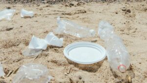 Imagem pessoas recolhendo lixo plástico na praia.