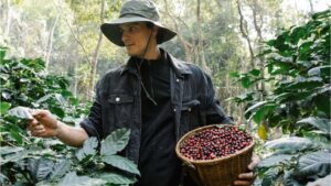 Fazenda de café no Brasil implementando práticas regenerativas da Nespresso com uso de Biochar e técnicas sustentáveis do Pacote Agronômico.