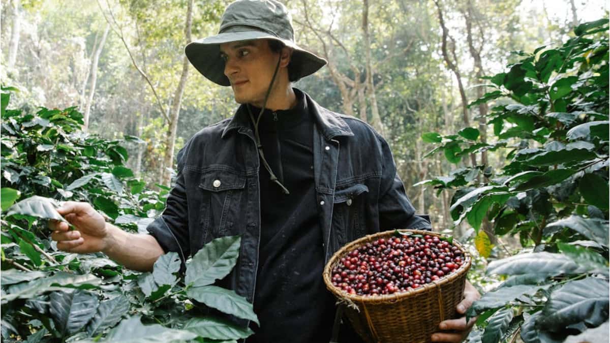 Fazenda de café no Brasil implementando práticas regenerativas da Nespresso com uso de Biochar e técnicas sustentáveis do Pacote Agronômico.