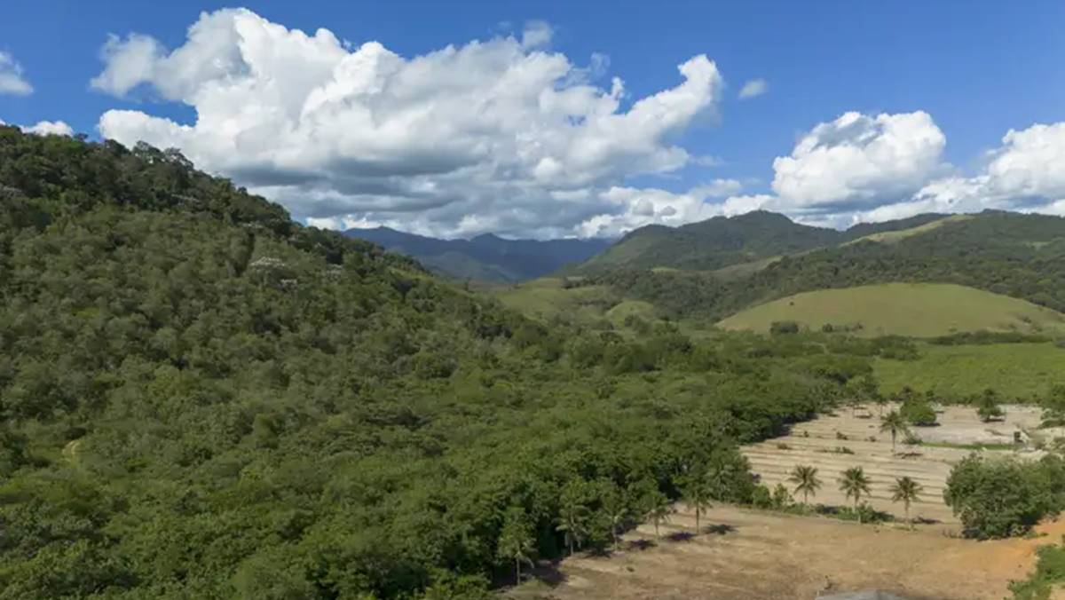 Cachoeiras de Macacu (RJ) 25/11/2024 - Vista de antiga área de pasto, à esquerda, reflorestada pelo Projeto Guapiaçu na Fazenda Vital Brazil para restauração da Mata Atlântica. Ações sustentáveis podem movimentar até US$ 10 trilhões, estima estudo