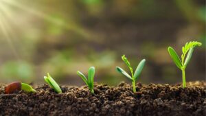 Governo sanciona lei de bioinsumos