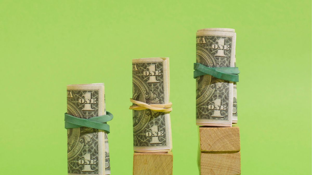 Maços de dólares enrolados com elásticos e enfileirados.