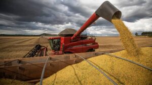 Produção de soja. Exportações de Soja do Brasil sofrem suspensão da China