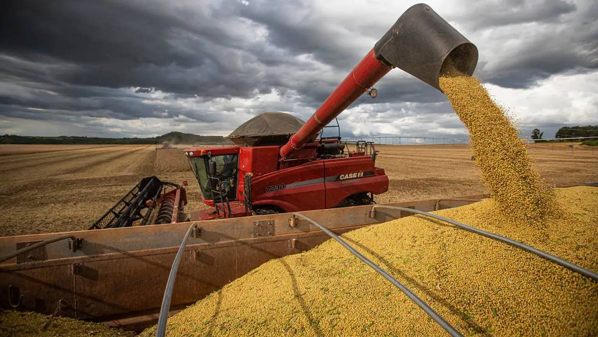 Produção de soja. Exportações de Soja do Brasil sofrem suspensão da China