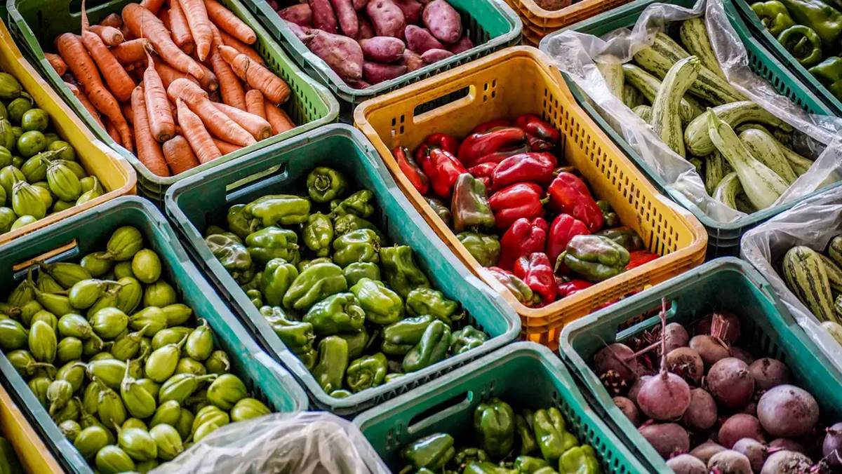 Imagem alimentos vegetais. Governo anuncia plano para redução no preço dos alimentos