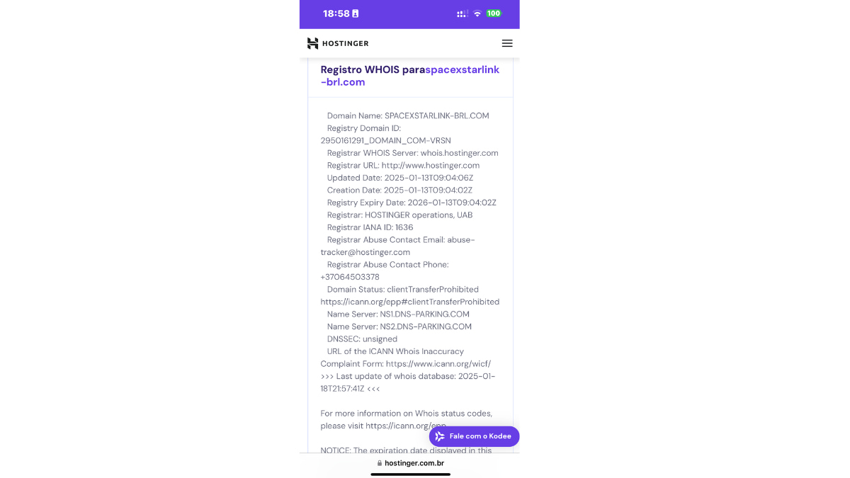Registro WHOIS de domínio falso associado ao 'Golpe da Starlink', hospedado pela Hostinger e criado em 2025 com informações detalhadas.