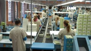 Imagem de trabalhadores em uma fábrica. Taxa de desemprego global em 2024 se mantém no mesmo patamar de 2023