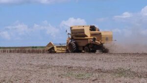 Imagem de trator no campo. programas agropecuários recebem aporte do BNDES