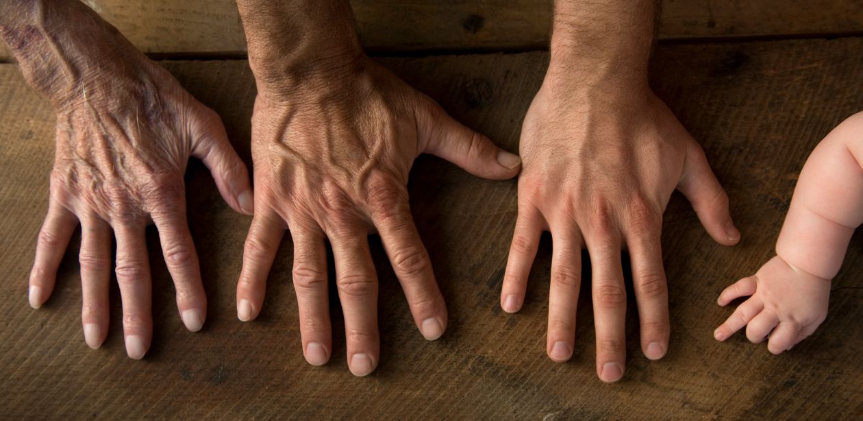 A imagem retrata a sucessão em negócios familiares, mostrando mãos de diferentes idades, lado a lado.