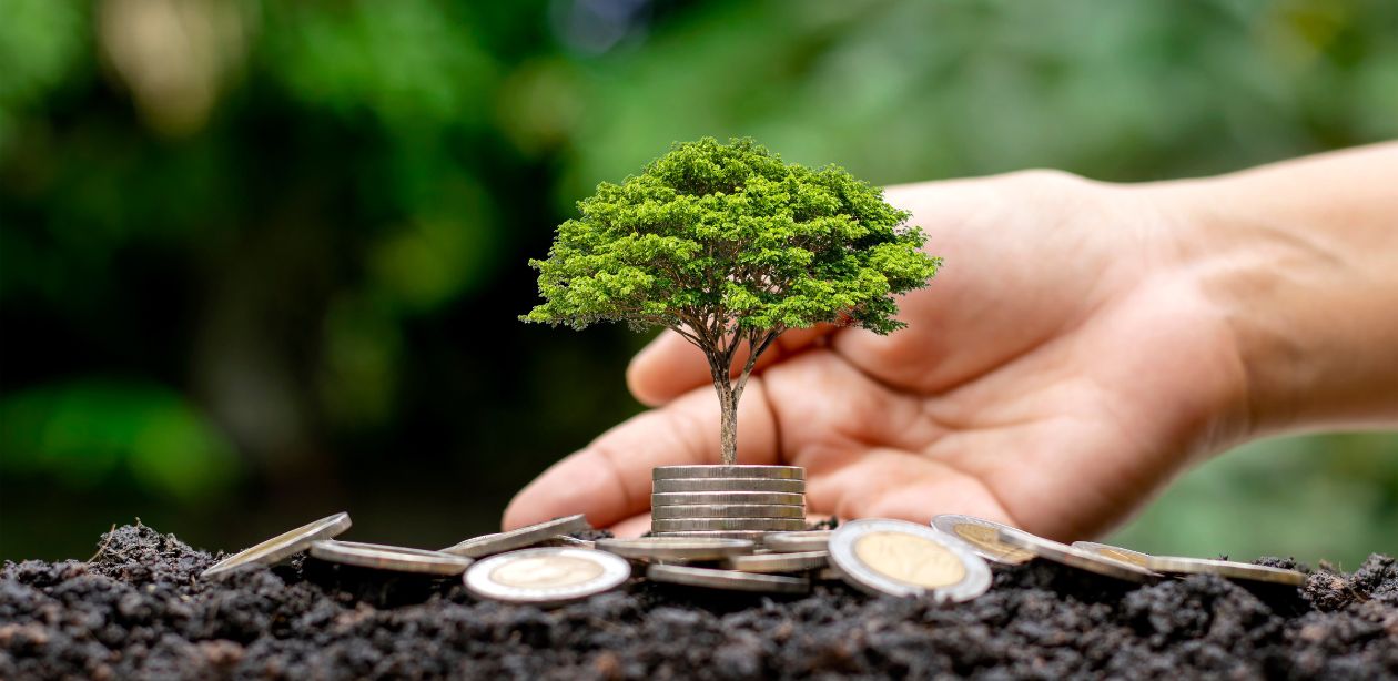 A imagem retrata uma pessoa plantando uma árvore em um solo fértil e em várias moedas espalhadas no solo, representando a economia circular no Brasil.