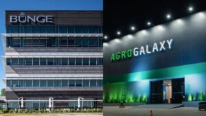 O agronegócio no Brasil teve 12 fusões e aquisições em 2024, alta de 140%. Setor de fertilizantes e açúcar lideram movimentações no mercado.