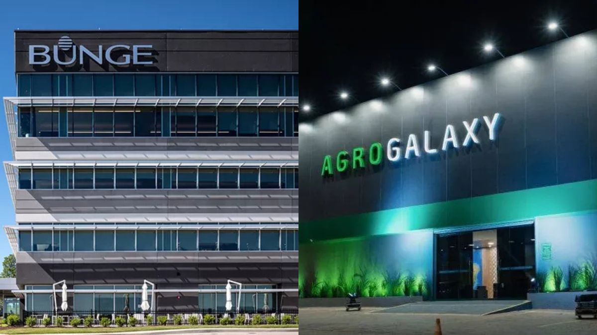O agronegócio no Brasil teve 12 fusões e aquisições em 2024, alta de 140%. Setor de fertilizantes e açúcar lideram movimentações no mercado.