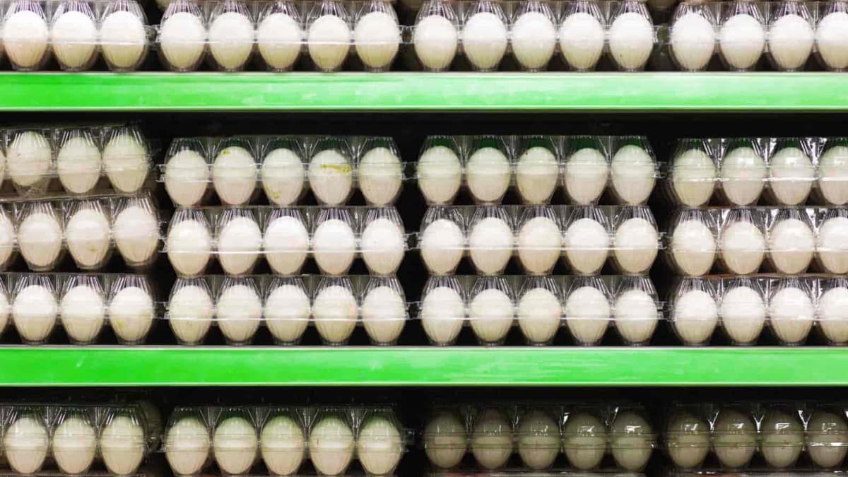 Prateleiras de supermercado repletas de ovos brancos em embalagens plásticas. A alta no consumo e nas exportações elevou o preço do ovo ao maior nível desde 2013.