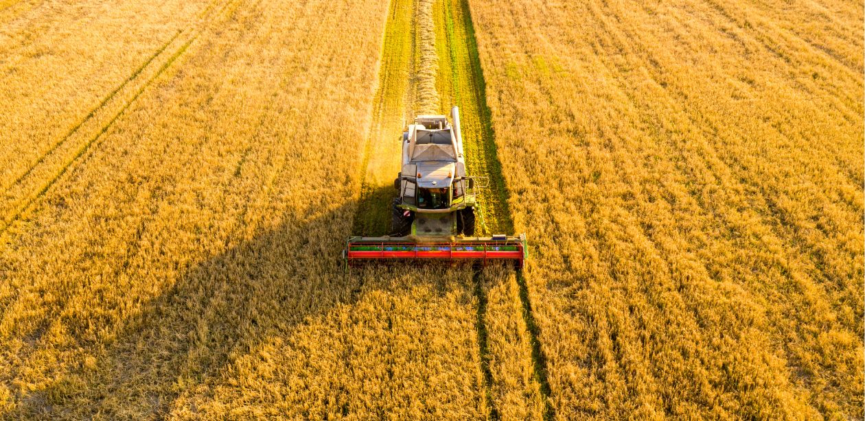 A imagem mostra uma lavoura e ao centro uma máquina agrícola para representar o financiamento do agronegócio no Brasil.