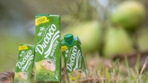 A recuperação judicial da Ducoco é a aposta para superar dívidas e retomar a trajetória de sucesso no setor de derivados de coco.