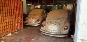 A imagem mostras dois carros 0km esquecidos em uma loja do RS, são fuscas.