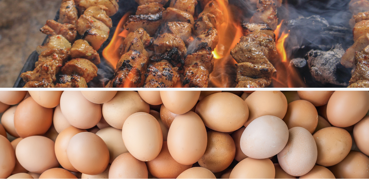 Brasil tem recorde na produção de ovos e abate de carne em 2024