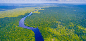 BID destaca pressão de bioeconomia na Amazônia durante evento em Miami