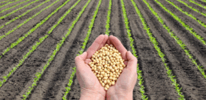Frente Parlamentar do Agro pede aumento no seguro rural