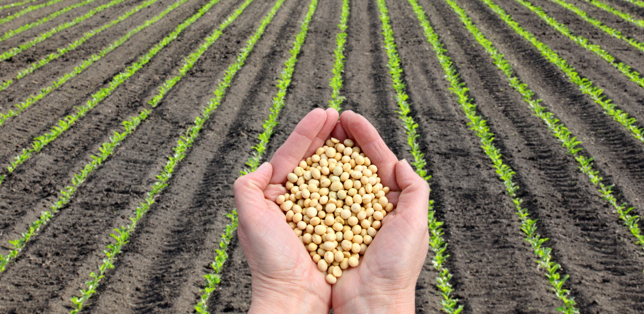 Frente Parlamentar do Agro pede aumento no seguro rural