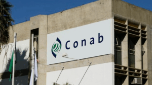 Conab recebe incentivo pra combater alta do preço dos alimentos.
