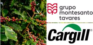 A imagem mostra uma plantação de café e ao lado as logos da Cargill e da Montesanto Tavares, representando a Proteção judicial ao Grupo Montesanto é mantida pela justiça e Cargill é barrada.