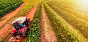 A imagem mostra um trator e uma plantação agrícola para representar o Índice de preços ao produtor impacto no mercado