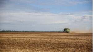 Colheita em grande área agrícola operada pela SLC Agrícola, com máquina colheitadeira em ação sob céu parcialmente nublado.