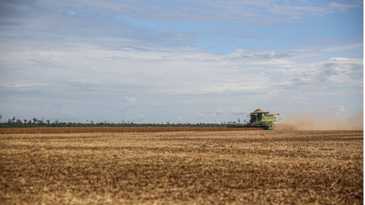 Colheita em grande área agrícola operada pela SLC Agrícola, com máquina colheitadeira em ação sob céu parcialmente nublado.