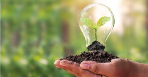 A foto mostra uma lâmpada com uma planta dentro para representar o licenciamento ambiental