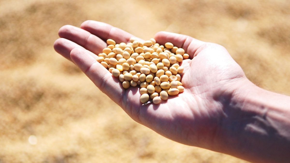 Aprosoja-MT pede R$ 1 bi por danos causados pela Moratória da Soja que limita a venda de soja em Mato Grosso.