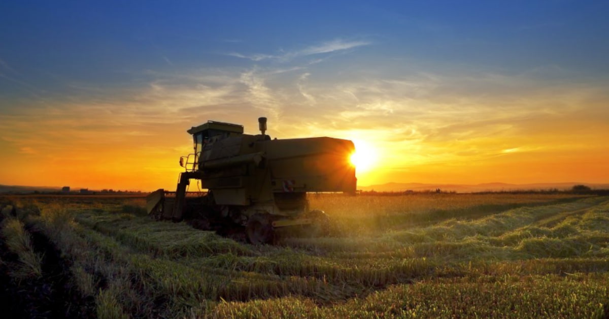 colheitadeira em plantação ao pôr do sol representa força do agronegócio no crescimento do PIB brasileiro no 1T25