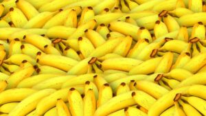Sítio Barreiras investe R$ 15 milhões em Quixeré e espera aumentar a produção em até 30% com novo centro de beneficiamento de frutas.