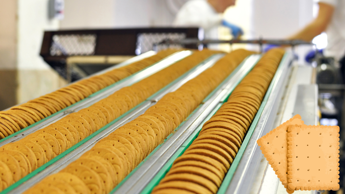 Linha de produção de biscoitos da M. Dias Branco em operação, representando o desempenho da receita da M. Dias Branco no 1T25.