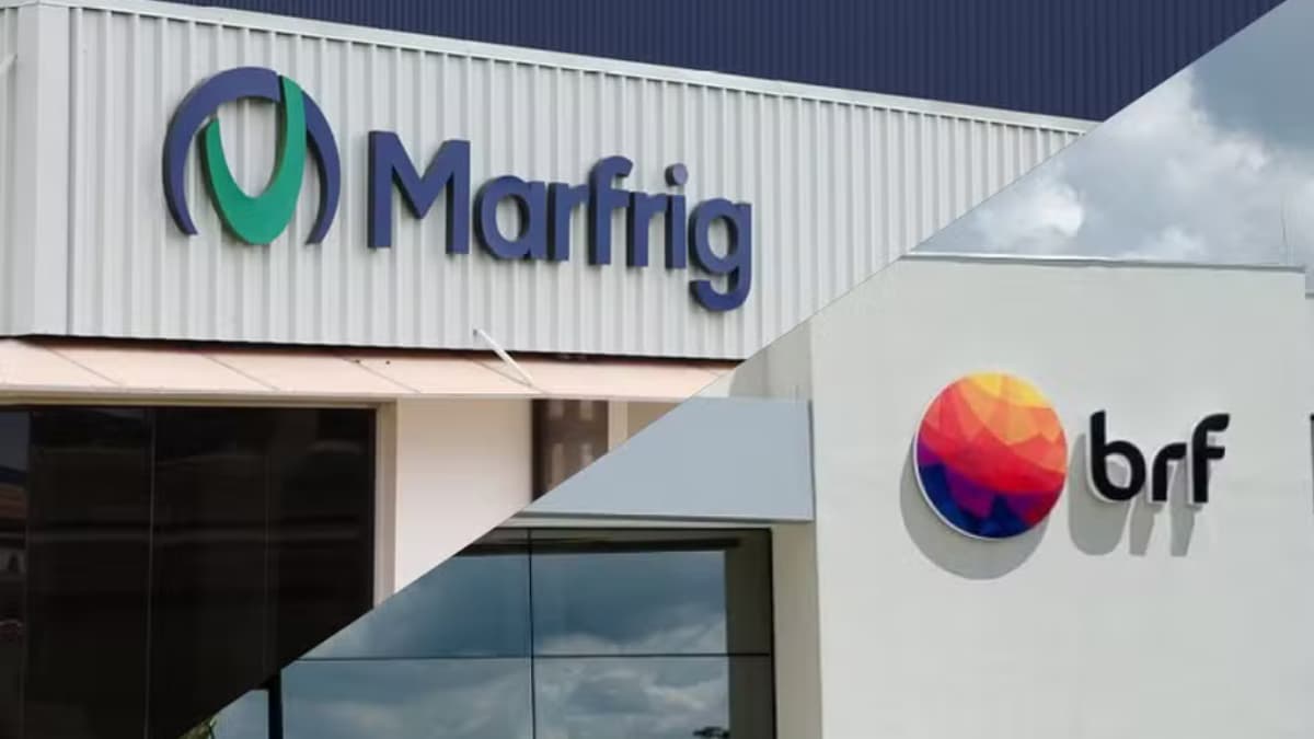 Fusão entre Marfrig e BRF suspensa após decisão da CVM