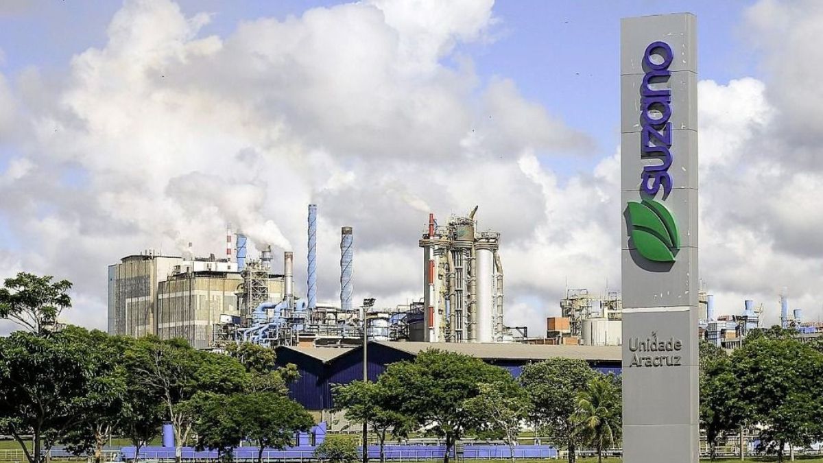 Com nova joint venture, marcas da Suzano chegam a mais países. Descubra os produtos e regiões envolvidos na expansão global.