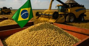 Colheita de soja ilustra o PIB do agronegócio brasileiro em 2025