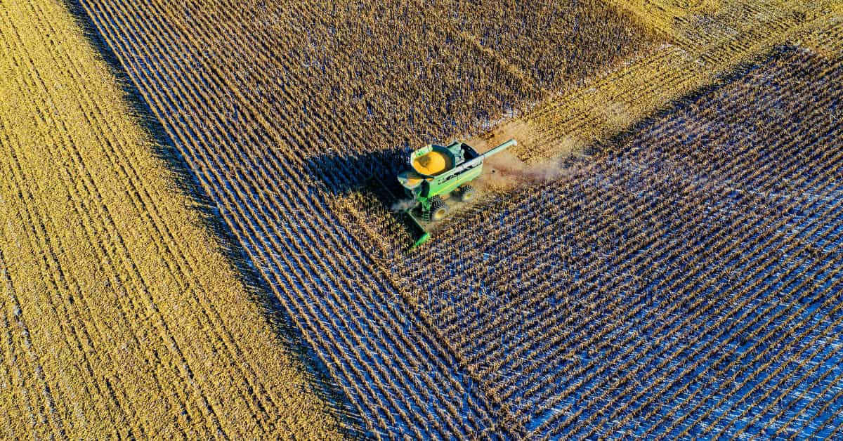 Safra de milho e exportação de soja no Brasil avançam em 2025 com alta produtividade e aumento nas vendas externas, segundo dados da Conab.