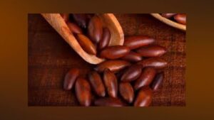 Castanha de baru torrada em destaque sobre superfície rústica de madeira.
