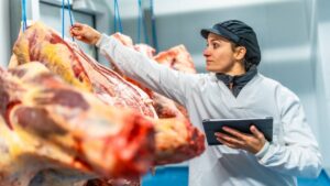 exportação de carne bovina para os EUA