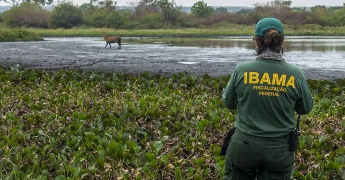 Petrobras e Ibama