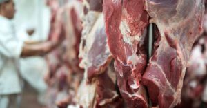 exportação de carne bovina