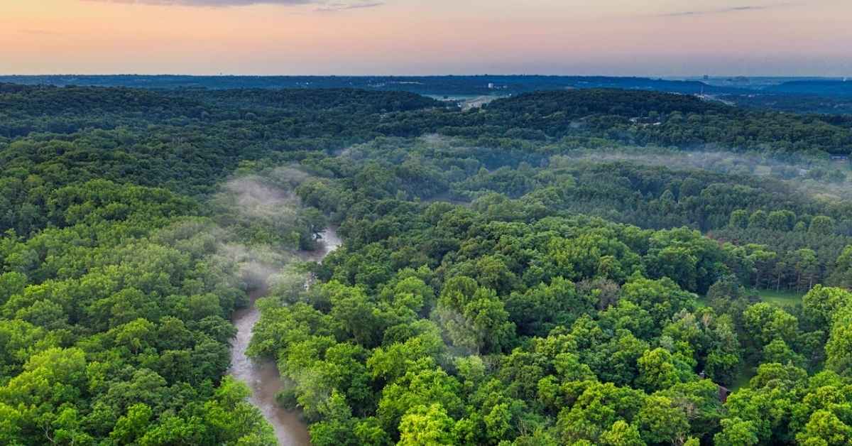 Financiamento climático no Brasil para proteção das florestas tropicais