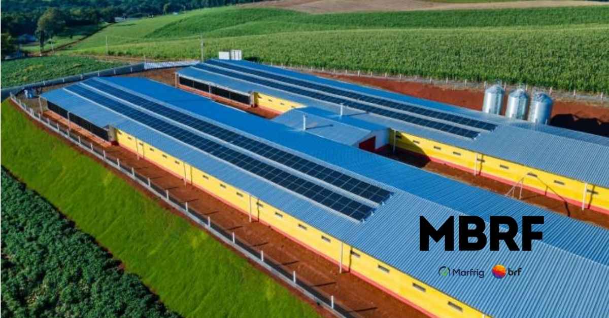 Queda do lucro da MBRF reflete custos altos e impacto da fusão