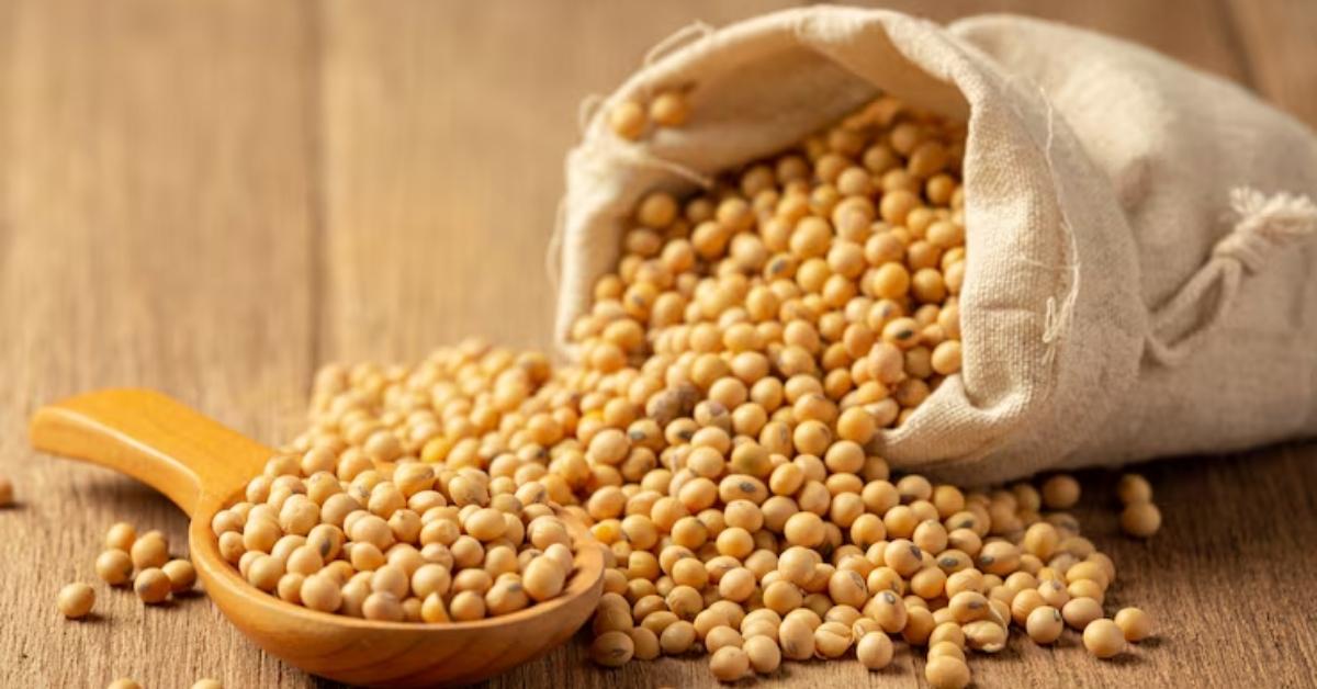 China suspende cinco unidades exportadoras de soja do Brasil